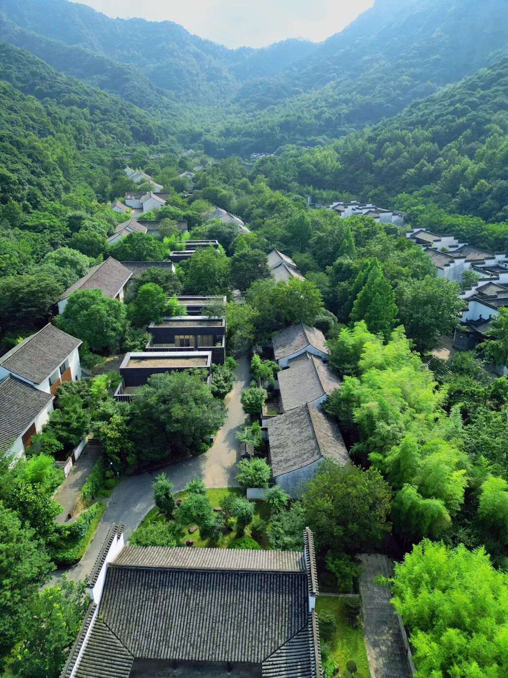 DJI_0726.jpg