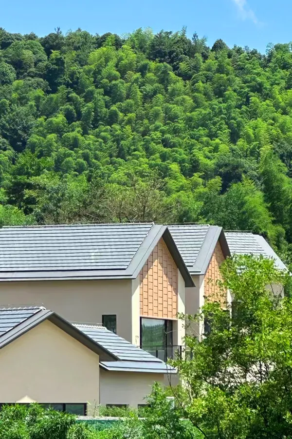 微信图片_2026-06-17_172334_310.png