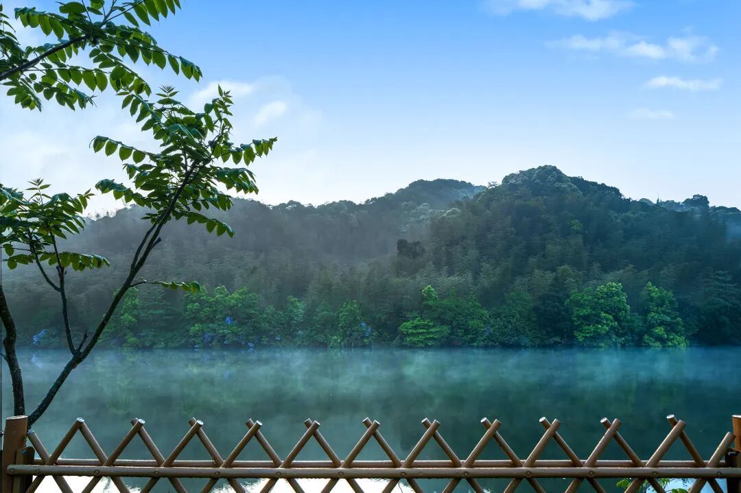 DSCF8811-编辑-2-2.jpg