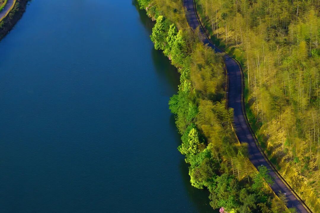 DJI_20260419165002_0294_D-2-2.jpg