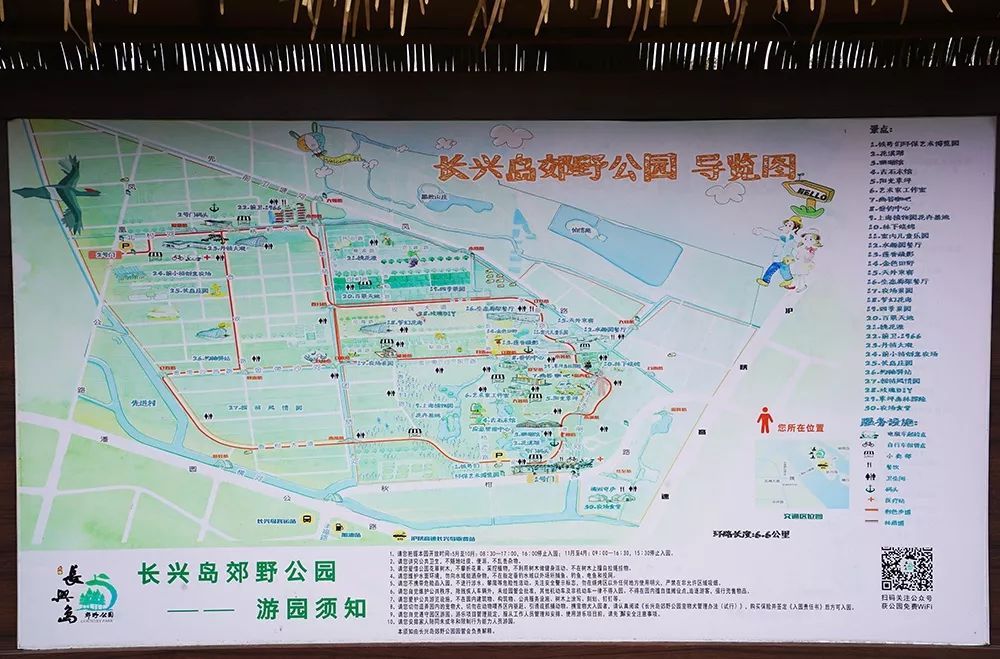 上海最大的长兴岛郊野公园