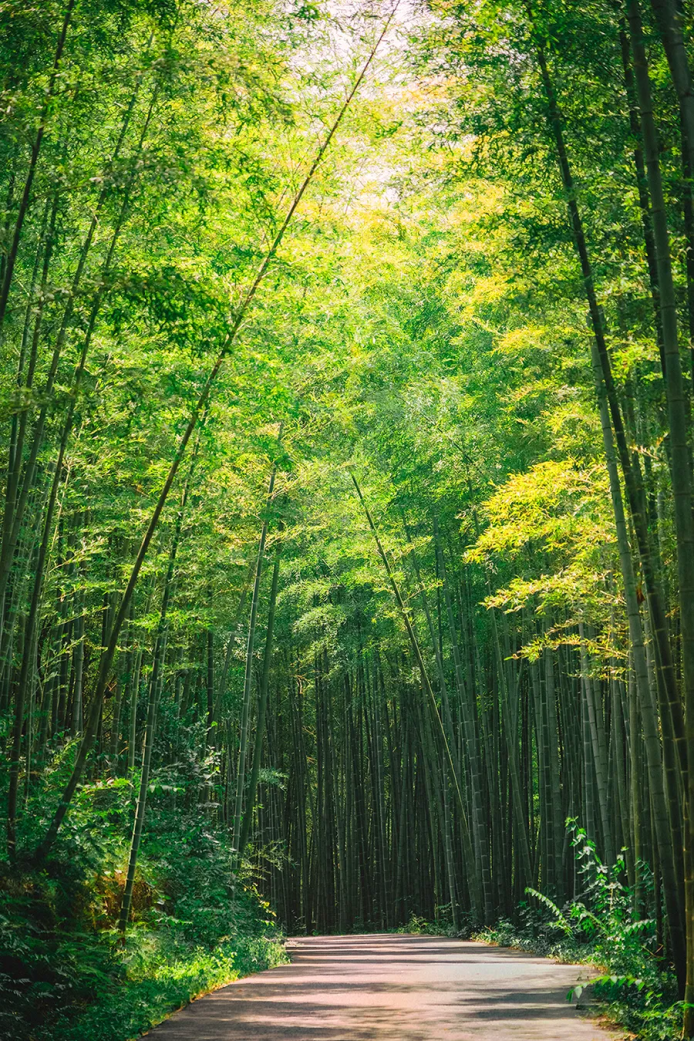 微信图片_2026-07-09_103910_570.png